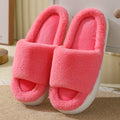 Winter Plush Slippers