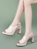Pointed-Toe Sandals with Block Heels
